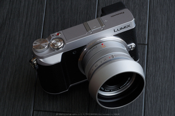 お写ん歩: Panasonic LUMIX G 42.5mm/F1.7 ASPH./POWER O.I.S.アーカイブ